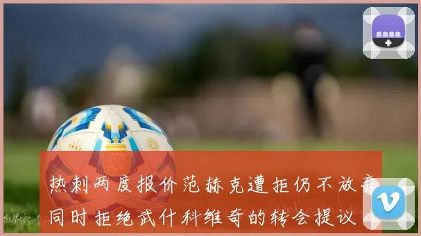 热刺两度报价范赫克遭拒仍不放弃同时拒绝武什科维奇的转会提议